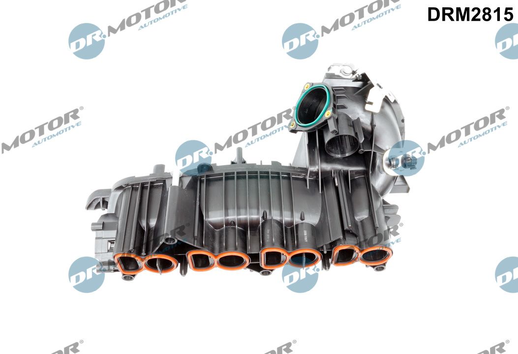 Intake Manifold Module (DRM2815)