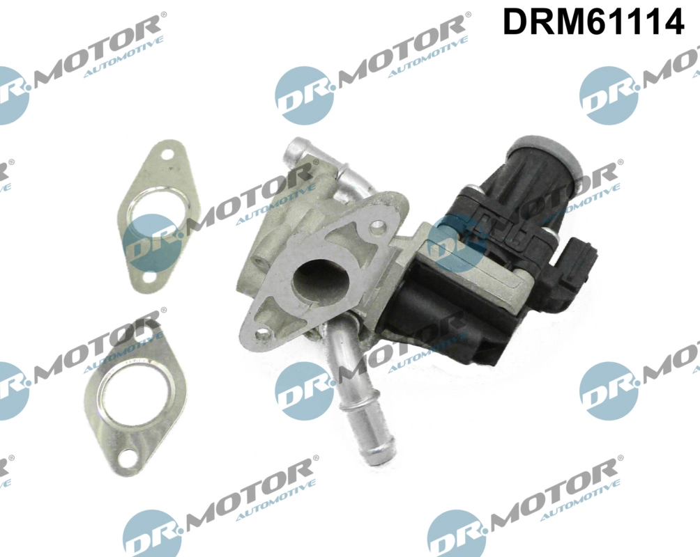 EGR Valve (DRM61114)