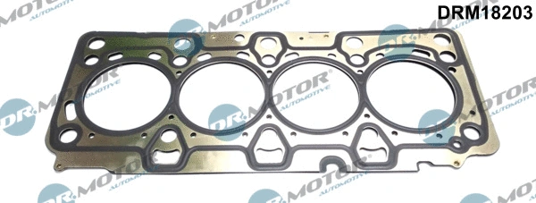 Gasket, cylinder head (DRM18203)
