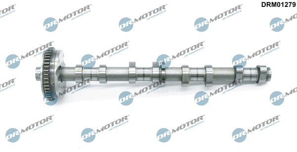 Camshaft (DRM01279)