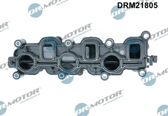 Intake Manifold Module
