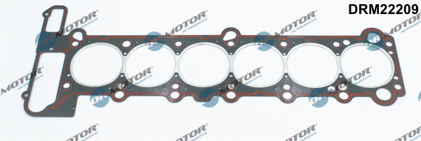Gasket, cylinder head (DRM22209)