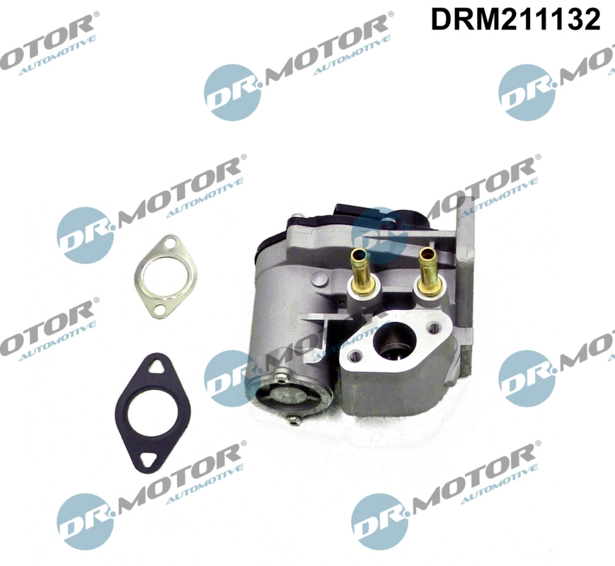 EGR Valve (DRM211132)