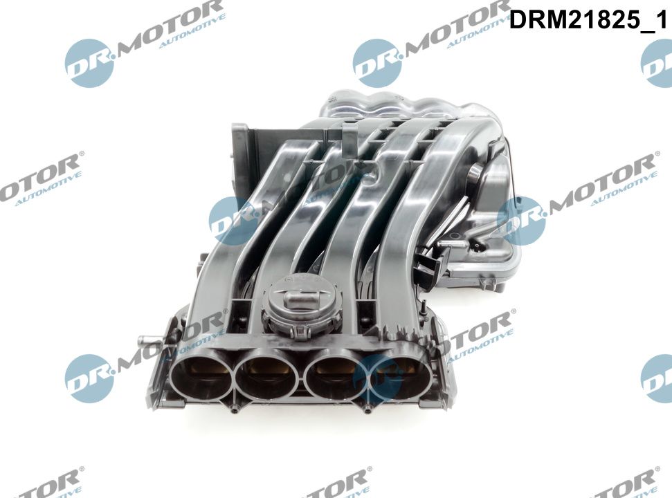 Intake Manifold Module