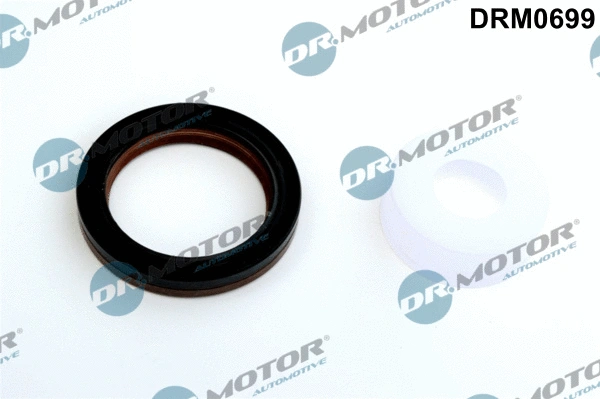 Shaft Seal, crankshaft (DRM0699)