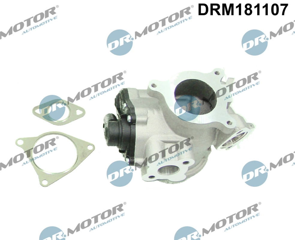 EGR Valve (DRM181107)