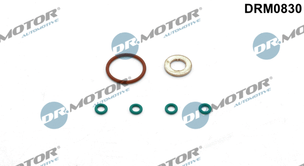 Seal Kit, injector nozzle (DRM0830)