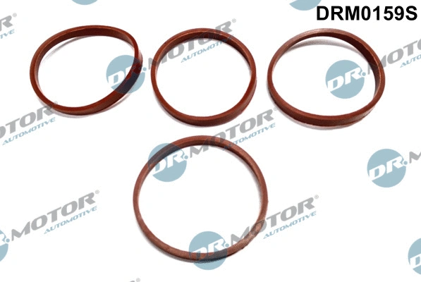 Gasket Set, intake manifold (DRM0159S)