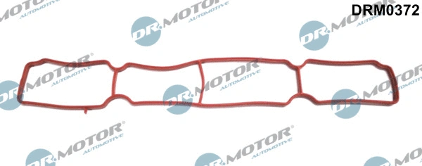 Gasket, intake manifold (DRM0372)