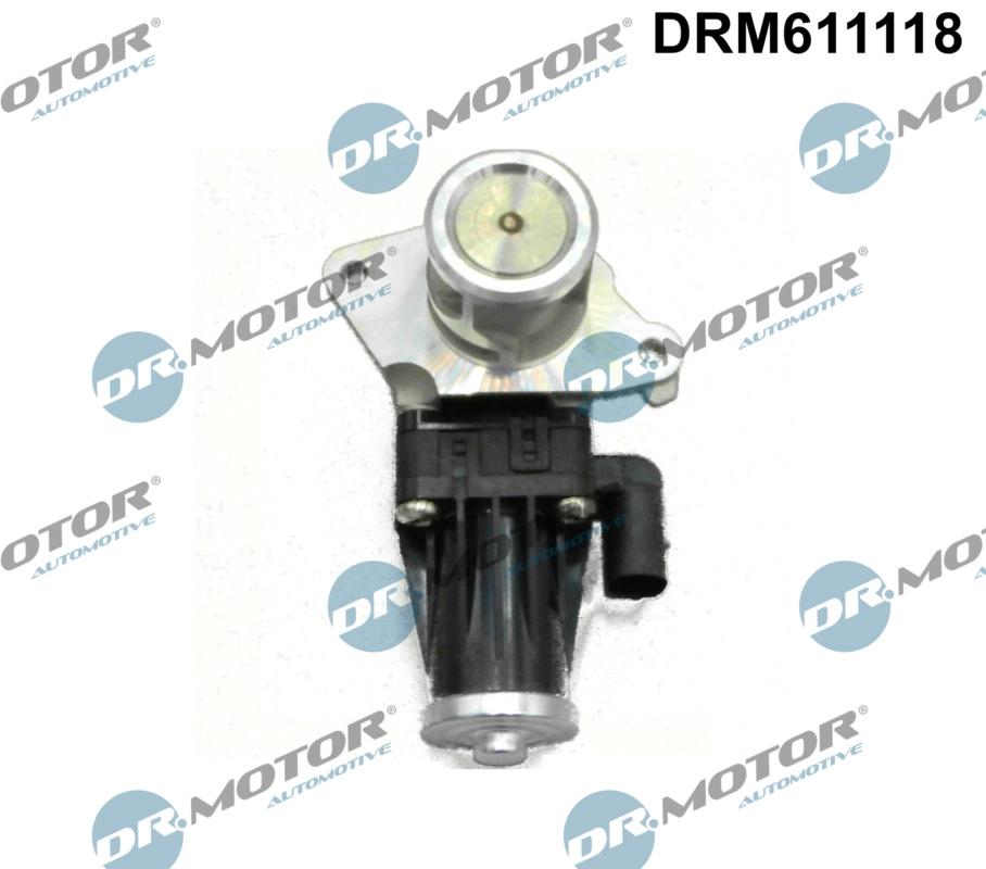 EGR Valve (DRM611118)