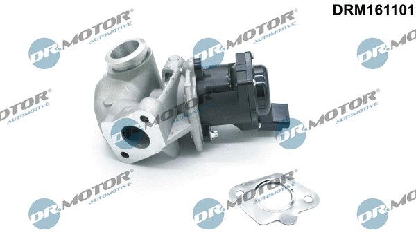EGR Valve (DRM161101)