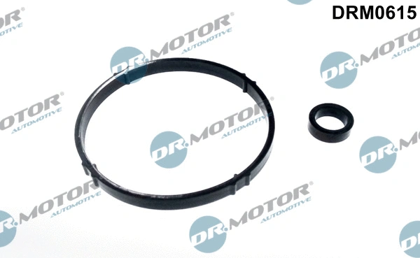 Gasket Set, oil cooler (DRM0615)