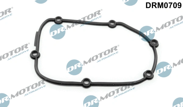 Gasket, timing case cover (DRM0709)