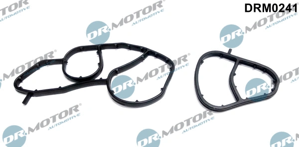 Gasket, oil filter housing (DRM0241)