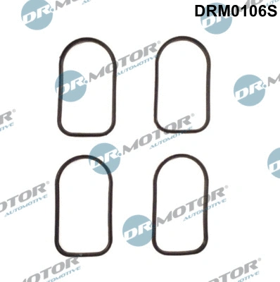Gasket Set, intake manifold (DRM0106S)