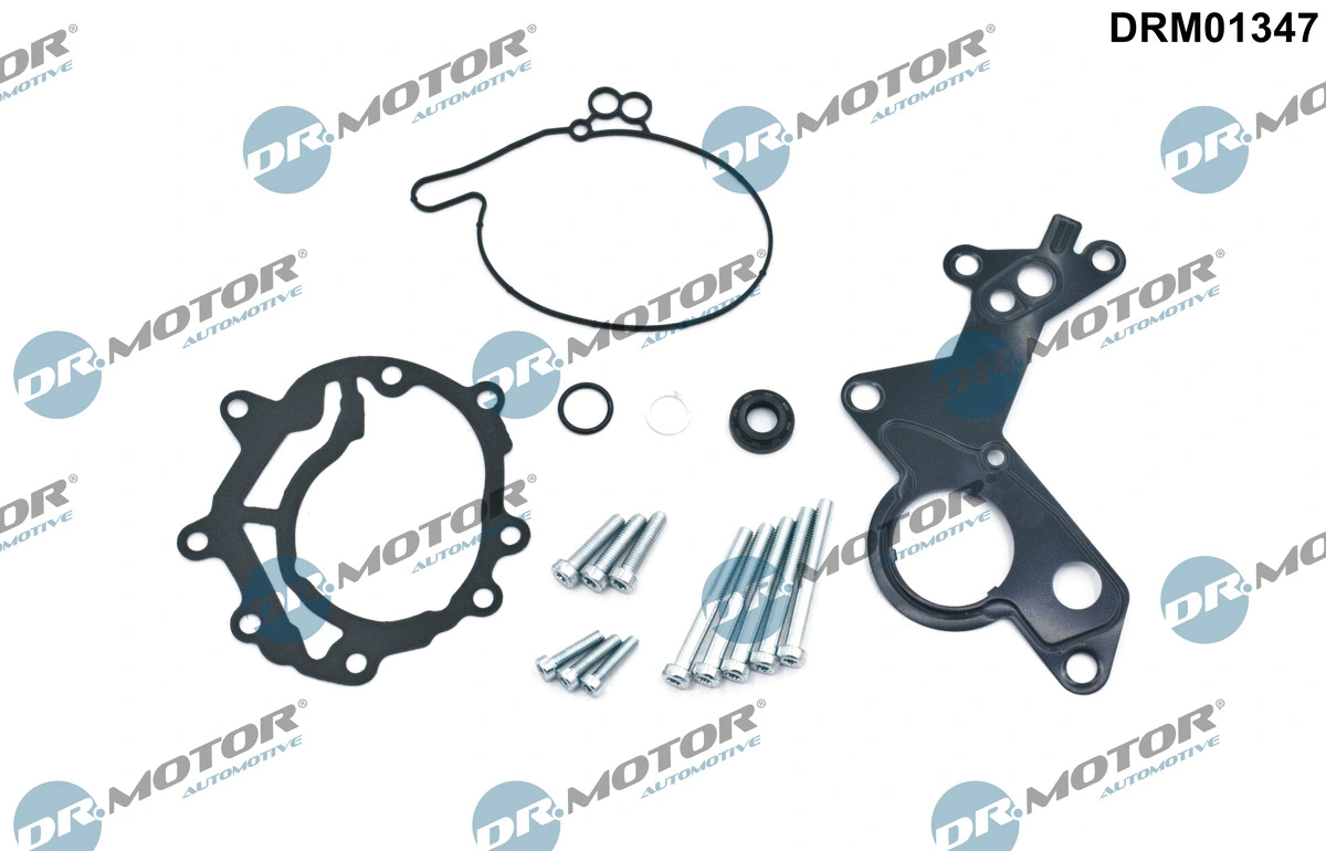 Repair Set, vacuum pump (braking system) (DRM01347)