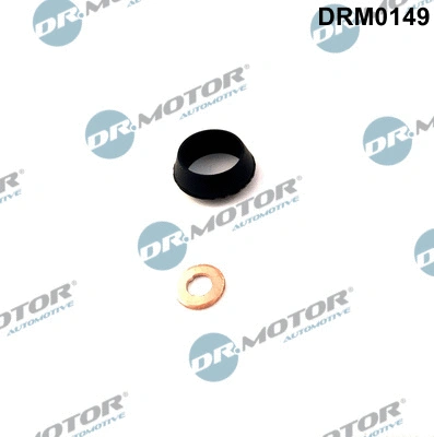 Seal Kit, injector nozzle (DRM0149)