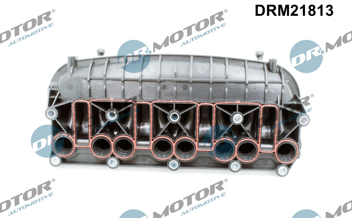 Intake Manifold Module