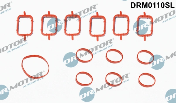 Gasket Set, intake manifold (DRM0110SL)