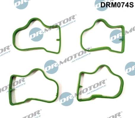 Gasket Set, intake manifold (DRM074S)