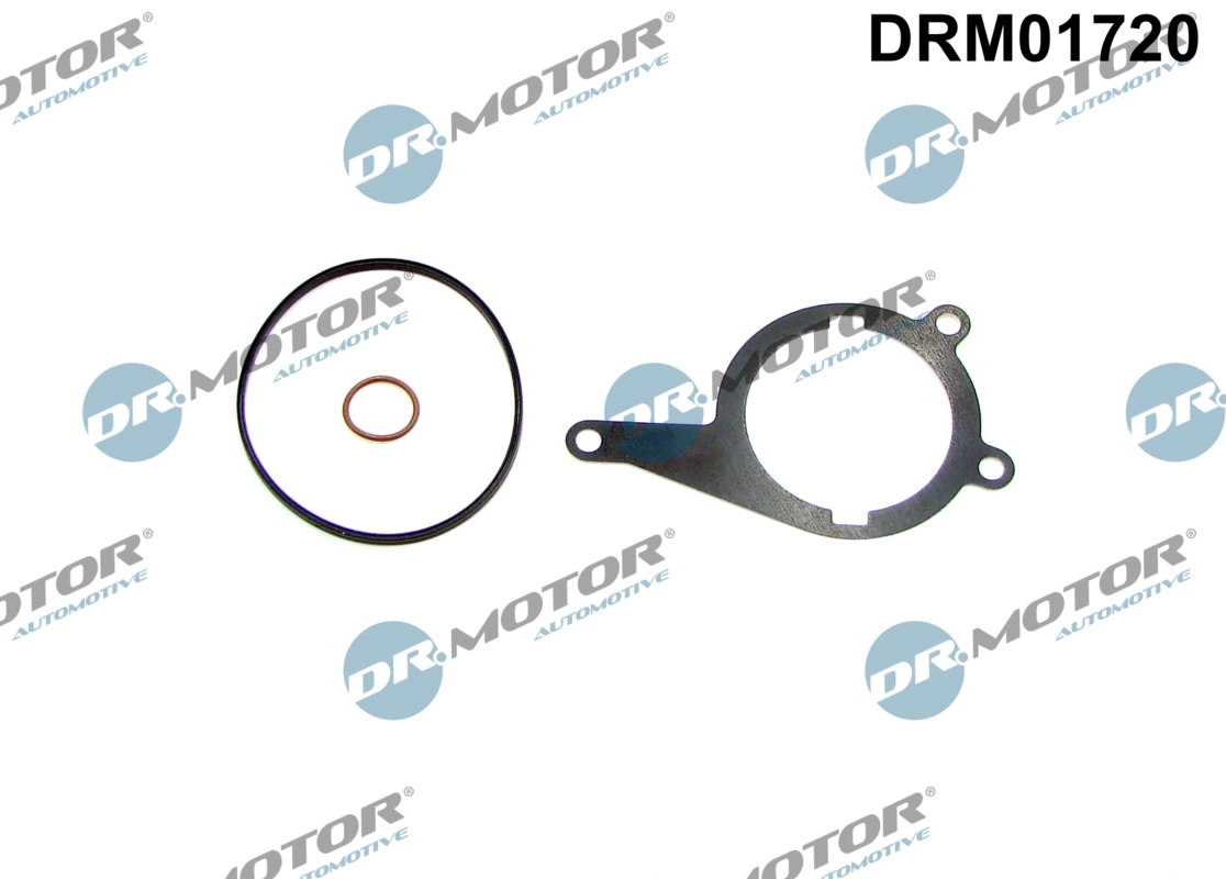 Gasket, vacuum pump (DRM01720)