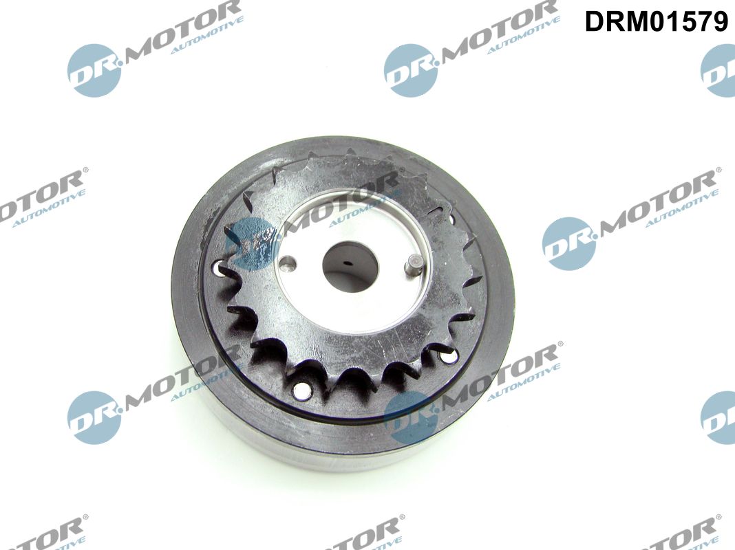 Camshaft Adjuster (DRM01579)