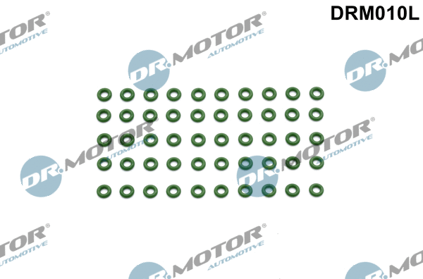 Seal Ring, nozzle holder (DRM010L)