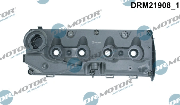 Cylinder Head Cover (DRM21908)