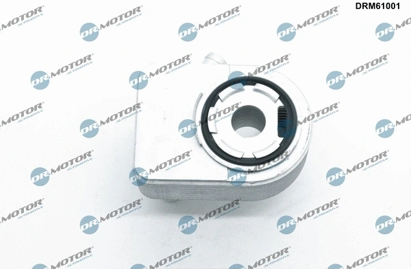 Oil Cooler, engine oil