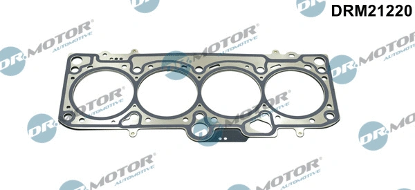 Gasket, cylinder head (DRM21220)