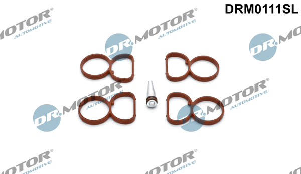 Gasket Set, intake manifold (DRM0111SL)