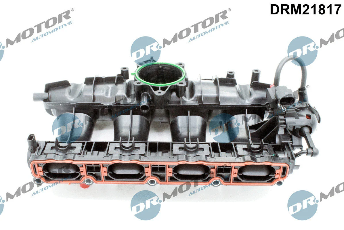 Intake Manifold Module (DRM21817)