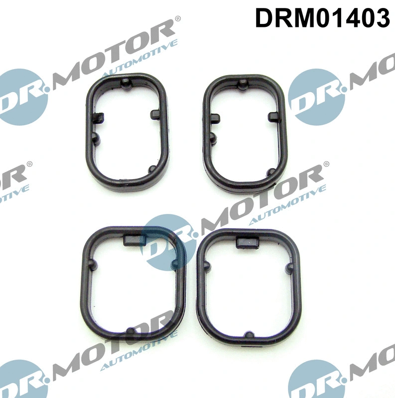 Gasket Set, oil cooler (DRM01403)