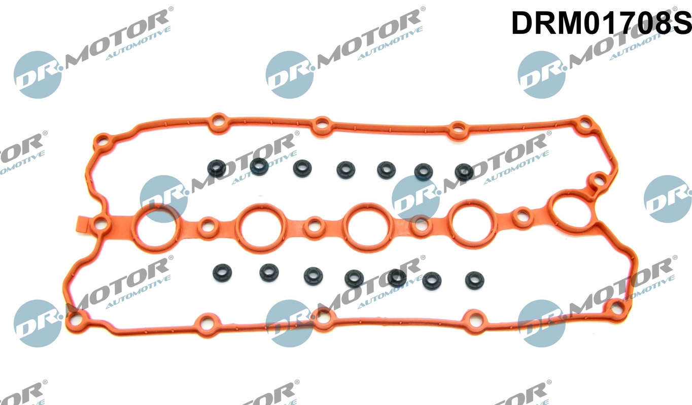 Gasket Set, cylinder head cover (DRM01708S)