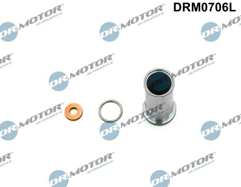 Repair Kit, injection nozzle (DRM0706L)