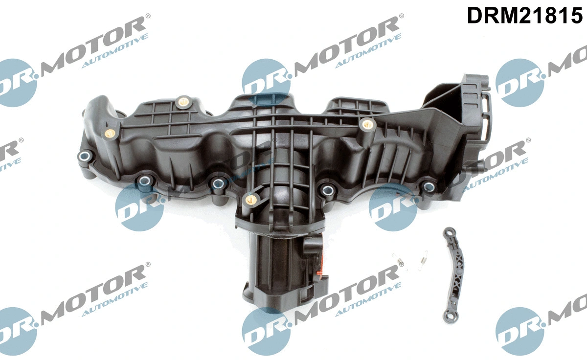 Intake Manifold Module (DRM21815)