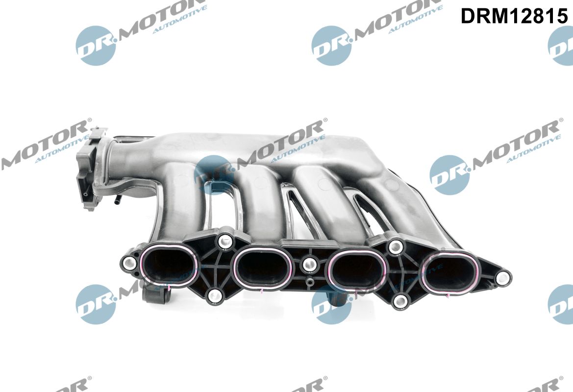 Intake Manifold Module (DRM12815)