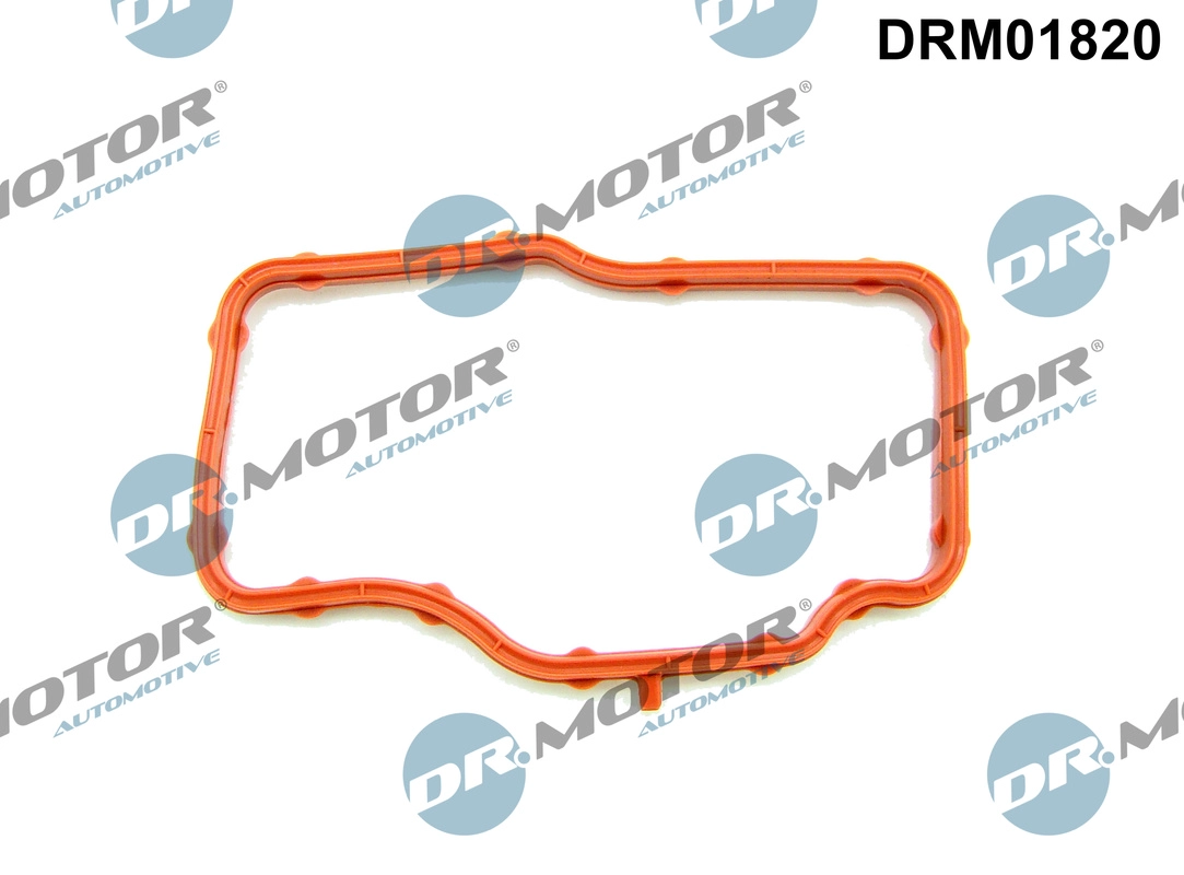 Gasket, thermostat housing (DRM01820)