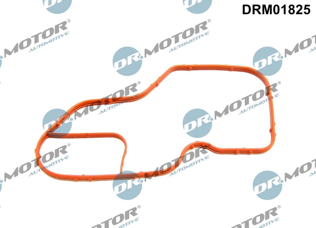 Gasket, thermostat housing (DRM01825)