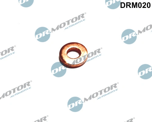 Seal Ring, injector (DRM020)