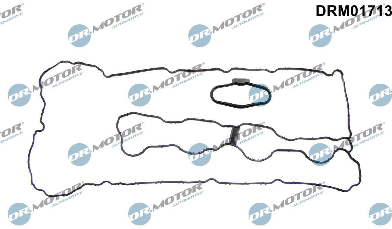 Gasket, cylinder head cover (DRM01713)