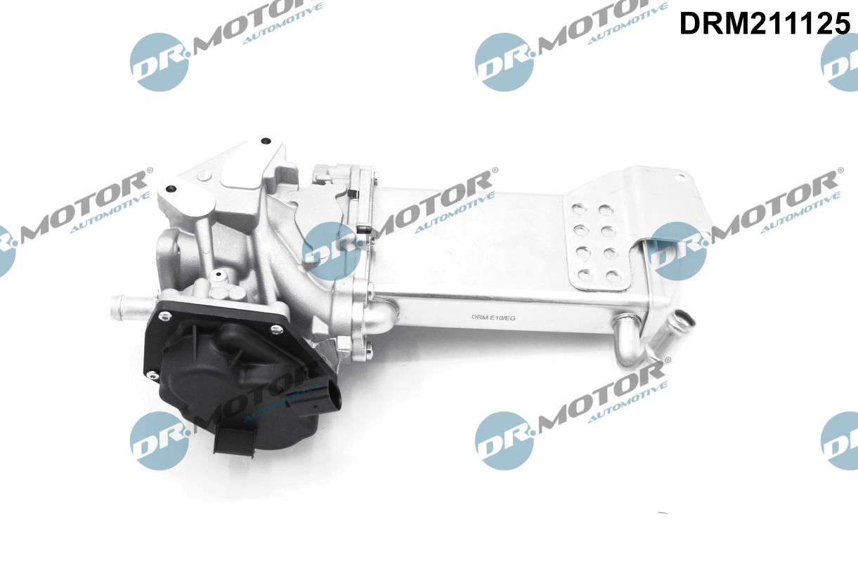 EGR Valve (DRM211125)
