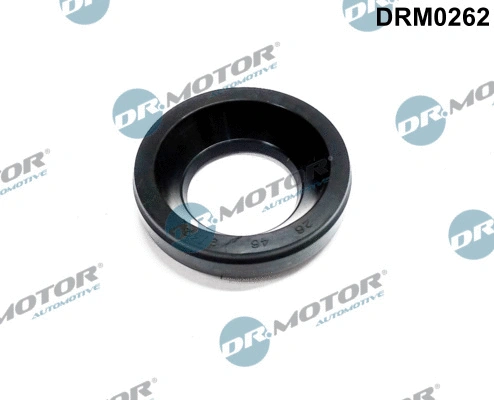 Seal, injector holder (DRM0262)