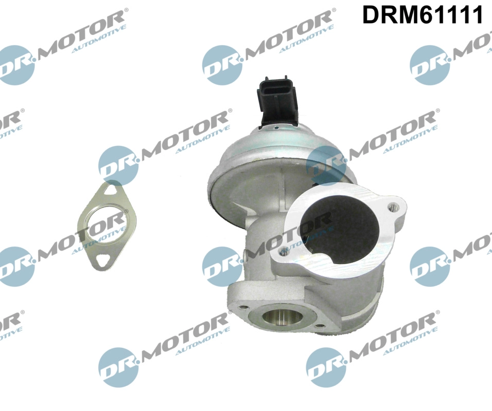 EGR Valve (DRM61111)