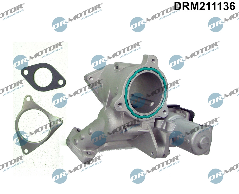 EGR Module (DRM211136)