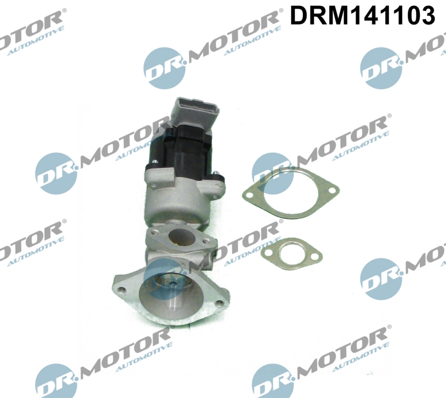 EGR Valve (DRM141103)