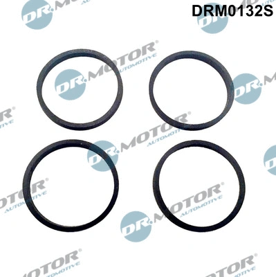 Gasket Set, intake manifold (DRM0132S)