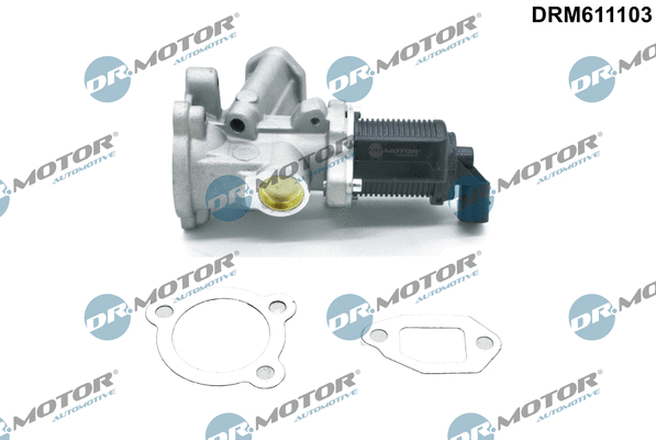 EGR Valve (DRM611103)