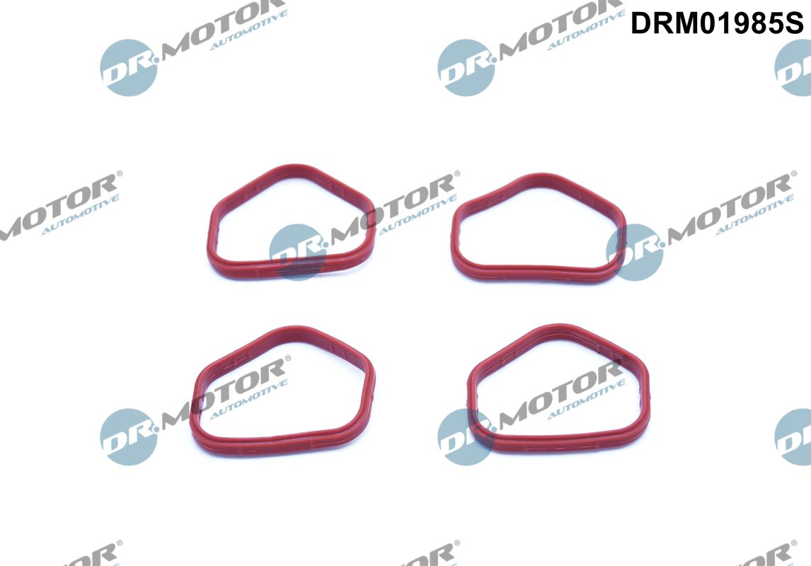 Gasket Set, intake manifold (DRM01985S)