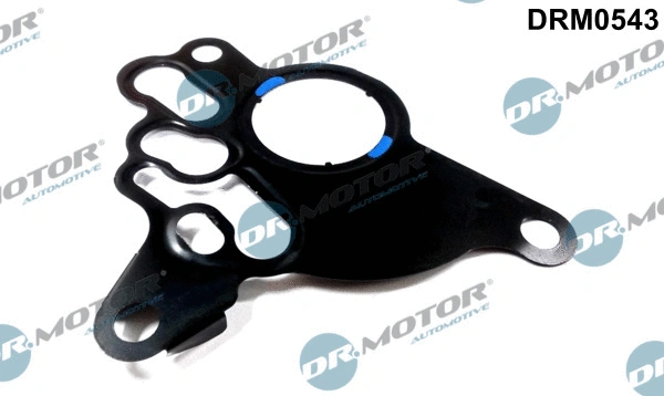 Gasket, vacuum pump (DRM0543)